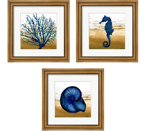 Coastal Blue 3 Piece Framed Art Print Set by Elizabeth Medley