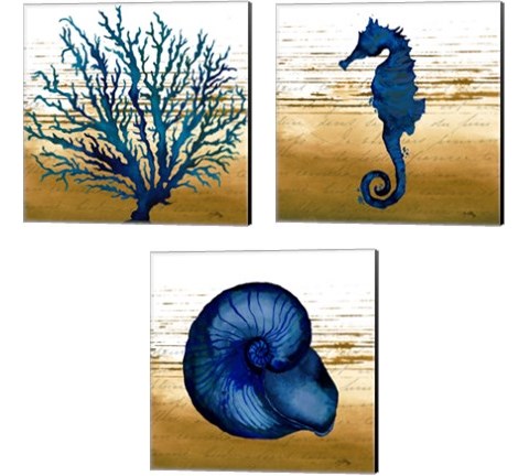 Coastal Blue 3 Piece Canvas Print Set by Elizabeth Medley