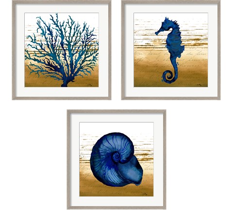 Coastal Blue 3 Piece Framed Art Print Set by Elizabeth Medley