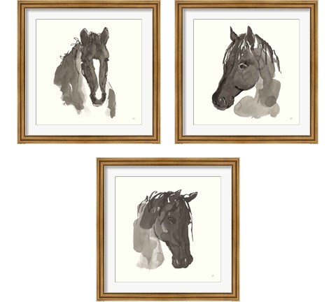 Horse Portrait 3 Piece Framed Art Print Set by Chris Paschke