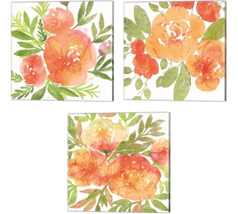 Peachy Floral 3 Piece Canvas Print Set by Bluebird Barn