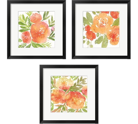 Peachy Floral 3 Piece Framed Art Print Set by Bluebird Barn