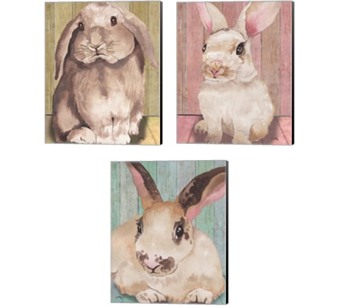 Bunny  3 Piece Canvas Print Set by Elizabeth Medley
