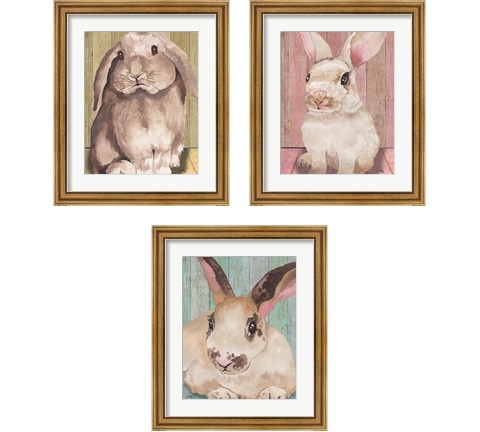 Bunny  3 Piece Framed Art Print Set by Elizabeth Medley