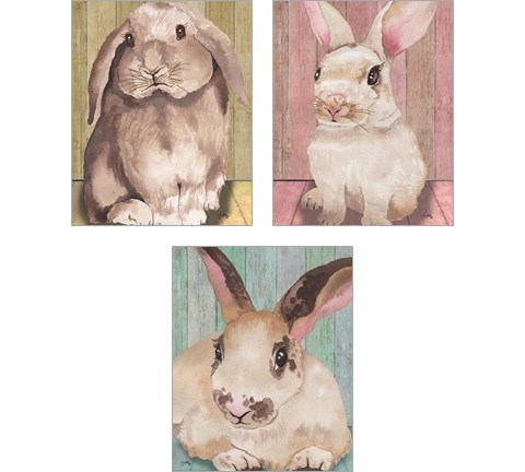 Bunny  3 Piece Art Print Set by Elizabeth Medley