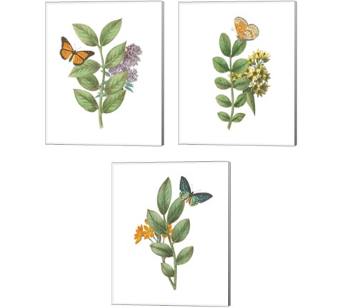 Greenery Butterflies 3 Piece Canvas Print Set by Wild Apple Portfolio