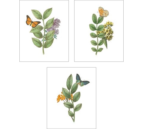 Greenery Butterflies 3 Piece Art Print Set by Wild Apple Portfolio