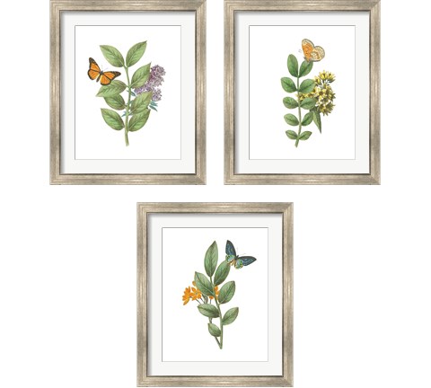 Greenery Butterflies 3 Piece Framed Art Print Set by Wild Apple Portfolio