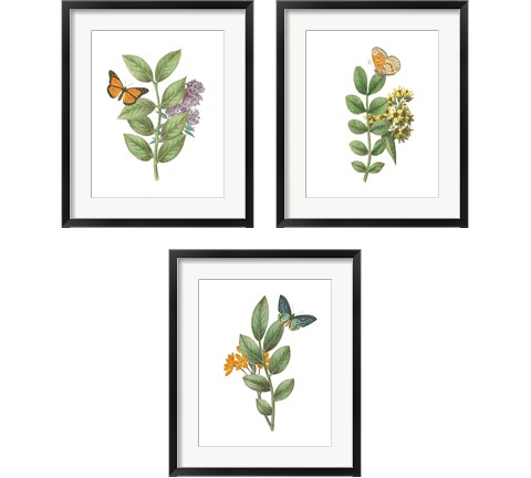 Greenery Butterflies 3 Piece Framed Art Print Set by Wild Apple Portfolio