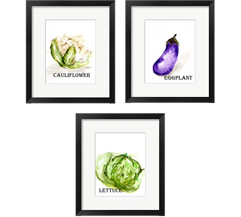 Veggie Sketch 3 Piece Framed Art Print Set by Marcy Chapman