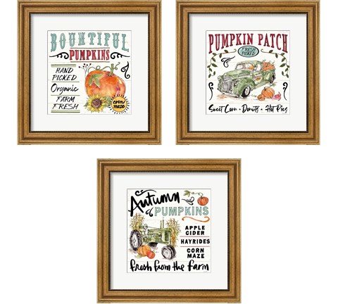 Harvest Times 3 Piece Framed Art Print Set by Anne Tavoletti