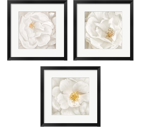 Neutral Rose 3 Piece Framed Art Print Set by Ramona Murdock