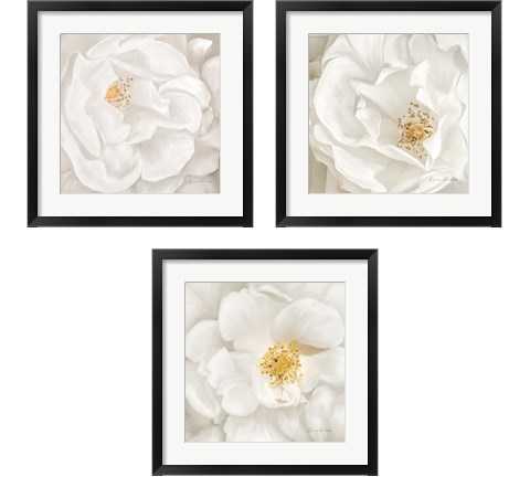 Neutral Rose 3 Piece Framed Art Print Set by Ramona Murdock