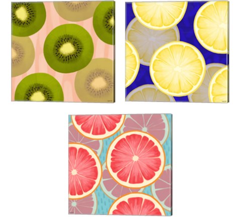 Colorful Fruit 3 Piece Canvas Print Set by Kyra Brown