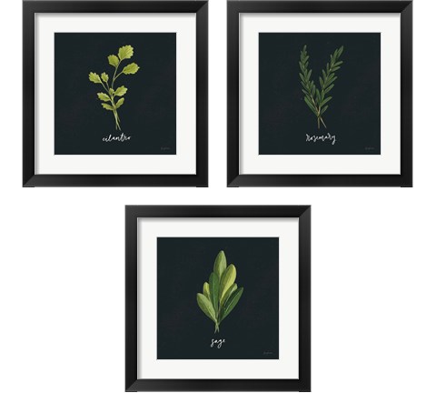 Herbs 3 Piece Framed Art Print Set by Becky Thorns