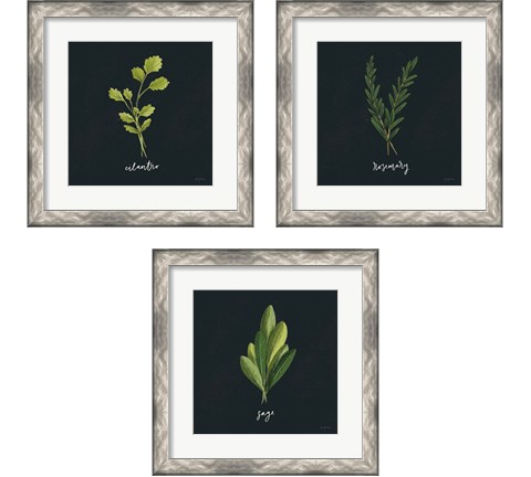 Herbs 3 Piece Framed Art Print Set by Becky Thorns