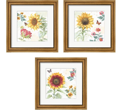 Sunflower Splendor 3 Piece Framed Art Print Set by Beth Grove