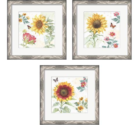 Sunflower Splendor 3 Piece Framed Art Print Set by Beth Grove