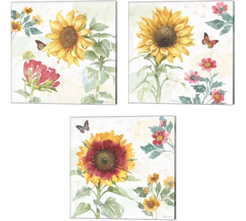 Sunflower Splendor 3 Piece Canvas Print Set by Beth Grove