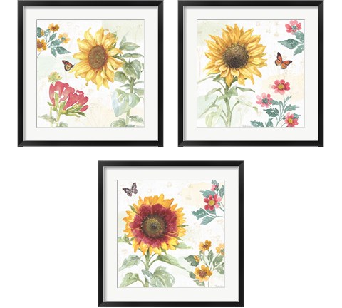 Sunflower Splendor 3 Piece Framed Art Print Set by Beth Grove