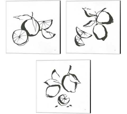Black & White Fruit 3 Piece Canvas Print Set by Chris Paschke