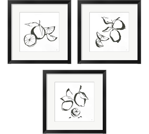 Black & White Fruit 3 Piece Framed Art Print Set by Chris Paschke