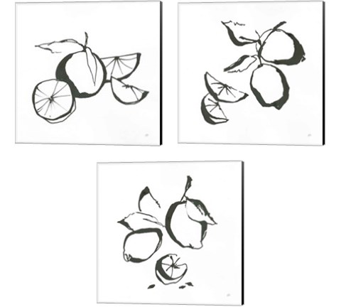 Black & White Fruit 3 Piece Canvas Print Set by Chris Paschke