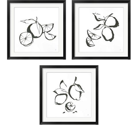 Black & White Fruit 3 Piece Framed Art Print Set by Chris Paschke