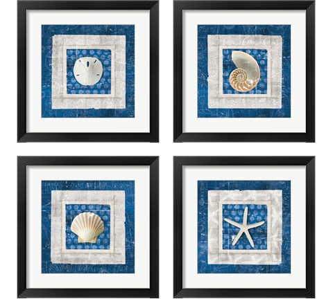 Sea Shell on Blue 4 Piece Framed Art Print Set by Belinda Aldrich