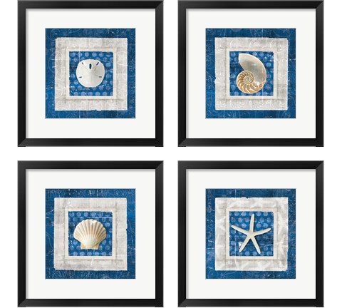 Sea Shell on Blue 4 Piece Framed Art Print Set by Belinda Aldrich