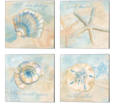 Watercolor Shell Sentiments 4 Piece Canvas Print Set by Cynthia Coulter