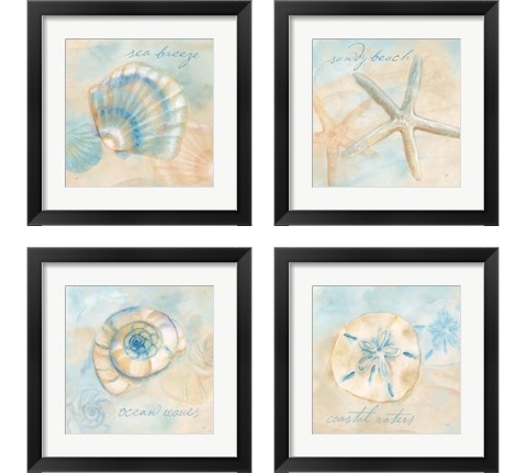 Watercolor Shell Sentiments 4 Piece Framed Art Print Set by Cynthia Coulter