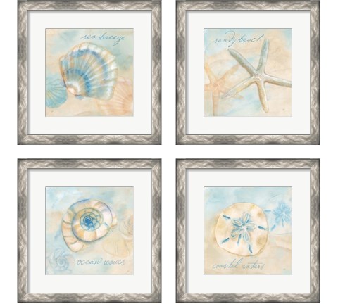 Watercolor Shell Sentiments 4 Piece Framed Art Print Set by Cynthia Coulter