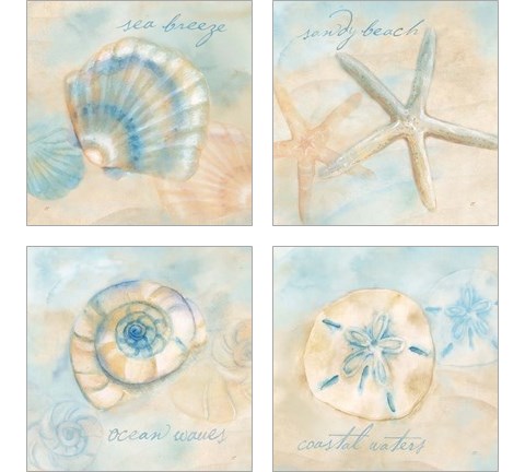 Watercolor Shell Sentiments 4 Piece Art Print Set by Cynthia Coulter
