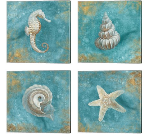 Treasures from the Sea 4 Piece Canvas Print Set by Danhui Nai