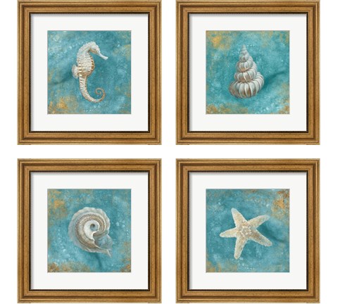 Treasures from the Sea 4 Piece Framed Art Print Set by Danhui Nai