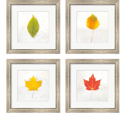Autumn Colors 4 Piece Framed Art Print Set by Sue Schlabach