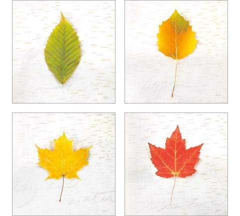 Autumn Colors 4 Piece Art Print Set by Sue Schlabach