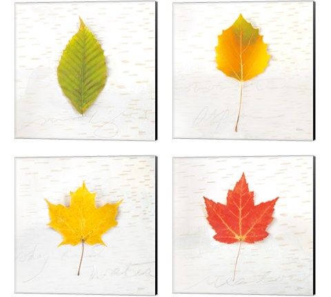 Autumn Colors 4 Piece Canvas Print Set by Sue Schlabach