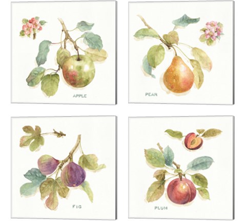 Orchard Bloom 4 Piece Canvas Print Set by Lisa Audit
