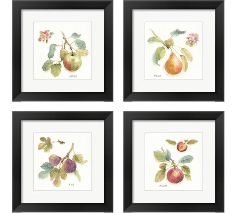 Orchard Bloom 4 Piece Framed Art Print Set by Lisa Audit