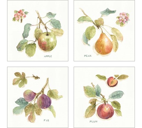 Orchard Bloom 4 Piece Art Print Set by Lisa Audit