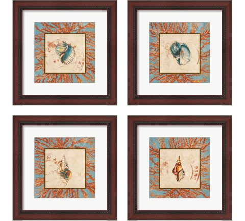 Coral Medley Shell 4 Piece Framed Art Print Set by Lanie Loreth