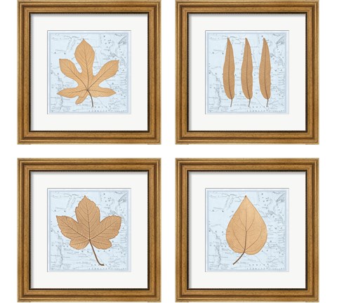 Nature's Profile 4 Piece Framed Art Print Set by Cory Bannister