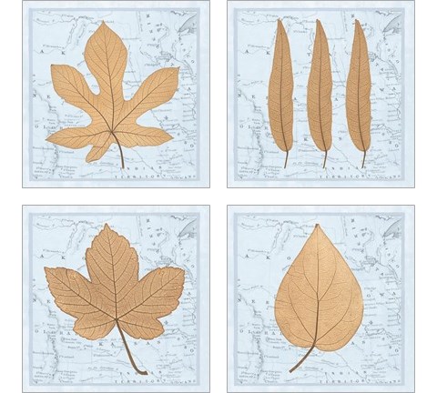 Nature's Profile 4 Piece Art Print Set by Cory Bannister