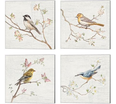 Vintage Bird 4 Piece Canvas Print Set by Danhui Nai