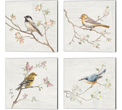 Vintage Bird 4 Piece Canvas Print Set by Danhui Nai