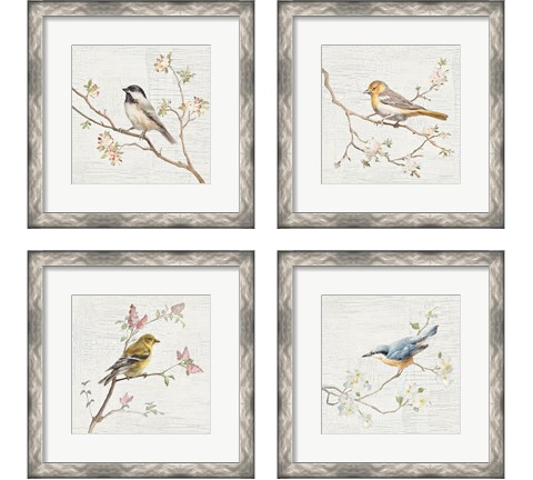 Vintage Bird 4 Piece Framed Art Print Set by Danhui Nai