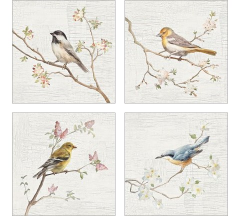 Vintage Bird 4 Piece Art Print Set by Danhui Nai