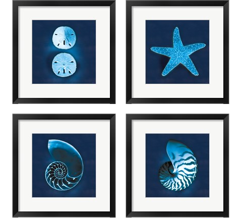 Cyanotype Sea 4 Piece Framed Art Print Set by Sue Schlabach
